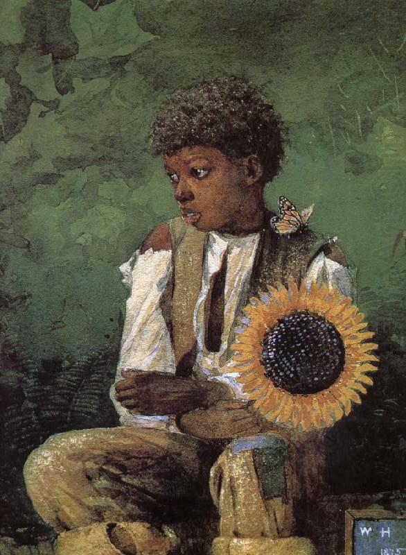 Winslow Homer Dedicated to the teacher s sunflower china oil painting image